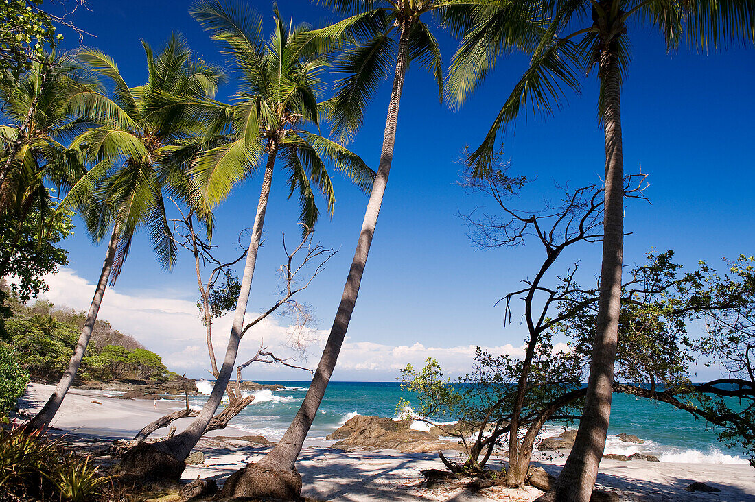 Costa Rica, Puntarenas province, Montezuma seaside resort on the Nicoya peninsula