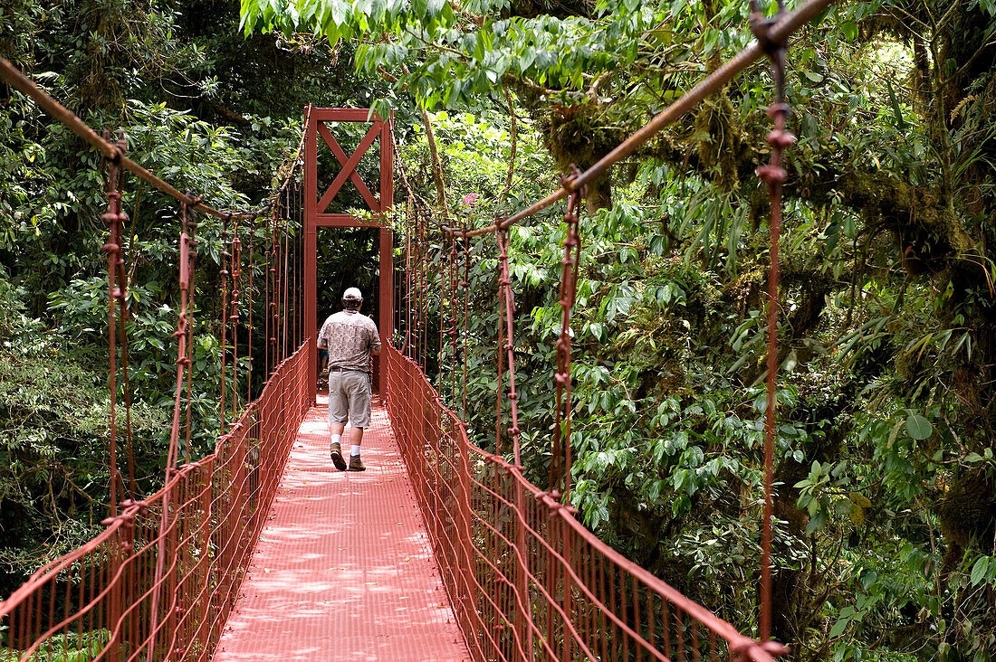 Costa Rica, Puntarenas Province, Monteverde, Reserva Biologica del Bosque Nuboso, Cloud Forest Biological Reserve
