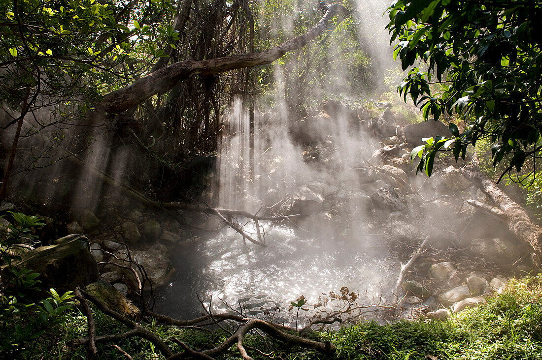 Costa Rica, Guanacaste province, Rincon de la Vieja National Park, hot sulphurous spring