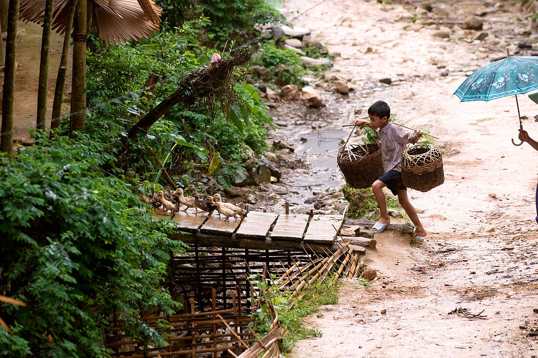 Vietnam, Hoa Binh province, Ban Ko Muong village of Tay ethnic white boy carrying a palanche