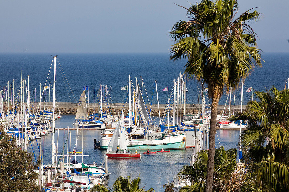 United States, California, Santa Barbara, Marina and its yachts in the harbor and offshore