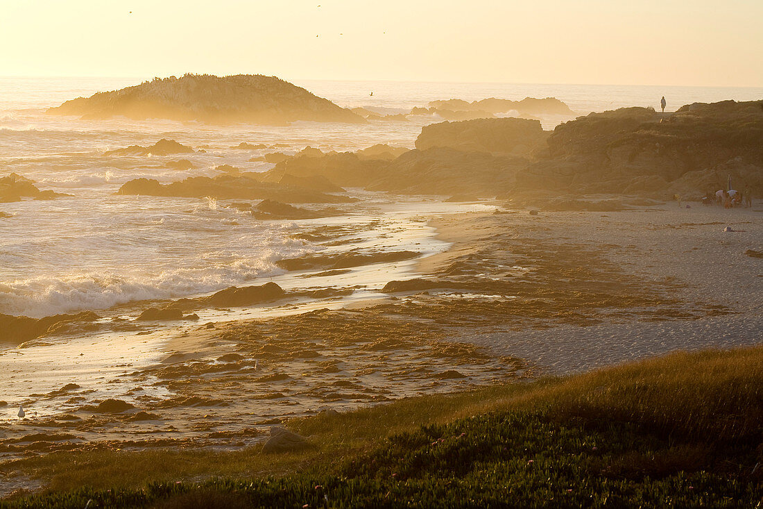 United States, California, Monterey Peninsula, Pebble Beach, 17 Mile Drive, sunset on the Pacific coast