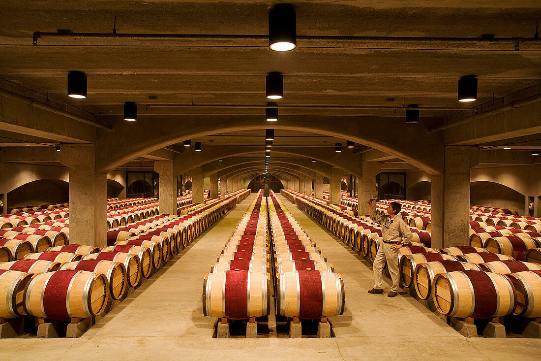 United States, California, Napa Valley, Oakville, Robert Mondavi Winery, the cellars with its oak barrels, tasting