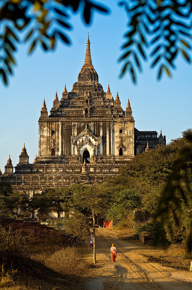 Myanmar (Burma), Mandalay Division, Bagan, Old Bagan, pagoda Thatbyinnyu (Pahto Thatbyinnyu) built in the mid 12th century