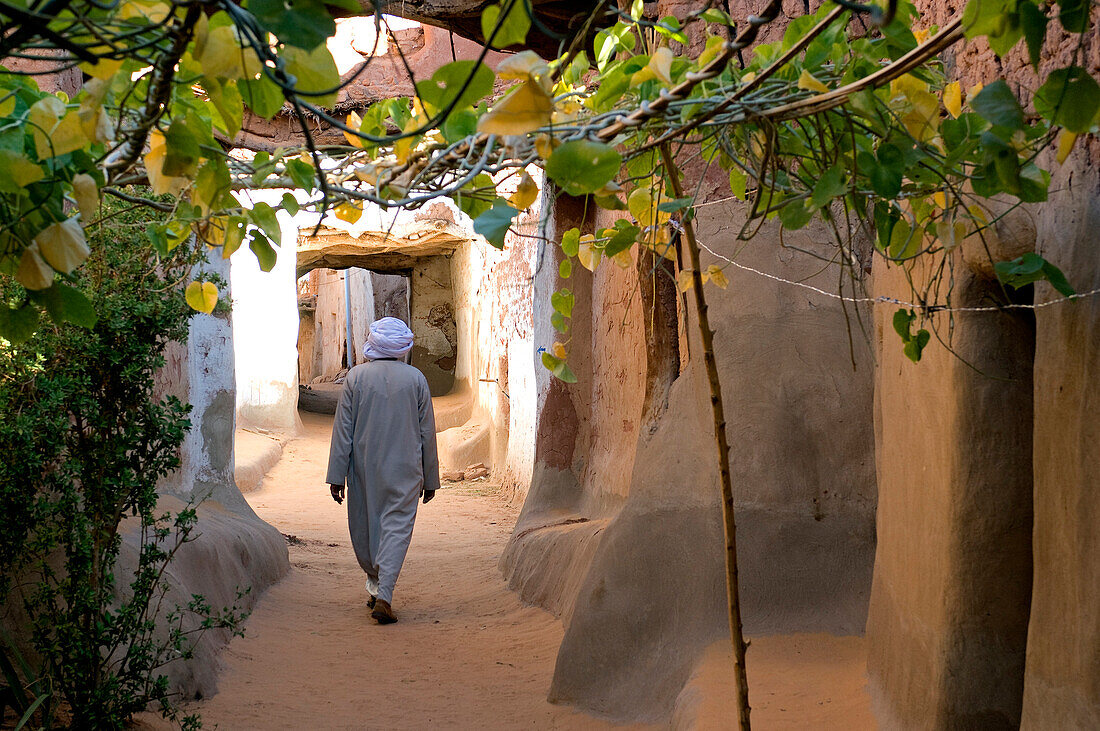 Egypt, Upper Egypt, Libyan Desert, Dakhla Oasis, Balat