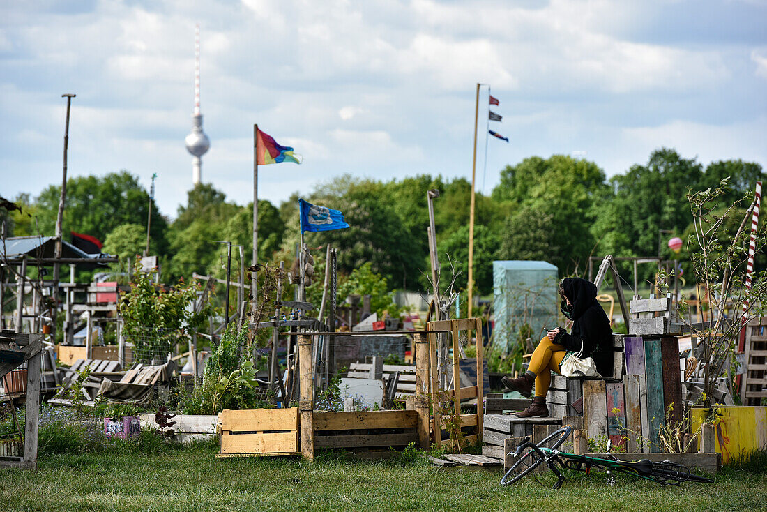 urban gardening auf Tempelhofer Feld in Berlin, Deutschland