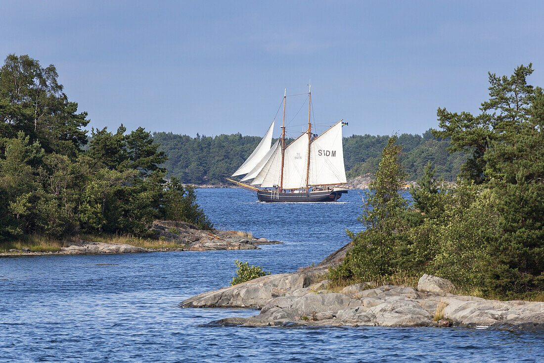 Sailing ship in Stockholm archipelago, Uppland, Stockholms land, South Sweden, Sweden, Scandinavia, Northern Europe