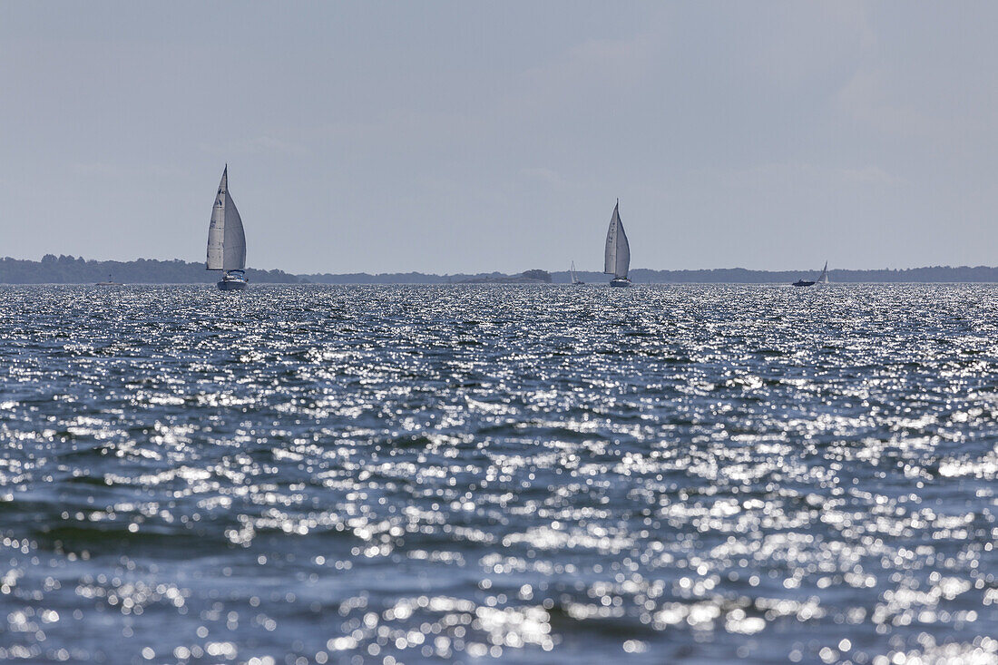 Sailboats on the Baltic Sea, Isle Lidoe, Northern Stockholm archipelago, Uppland, Stockholms County, South Sweden, Sweden, Scandinavia, Northern Europe