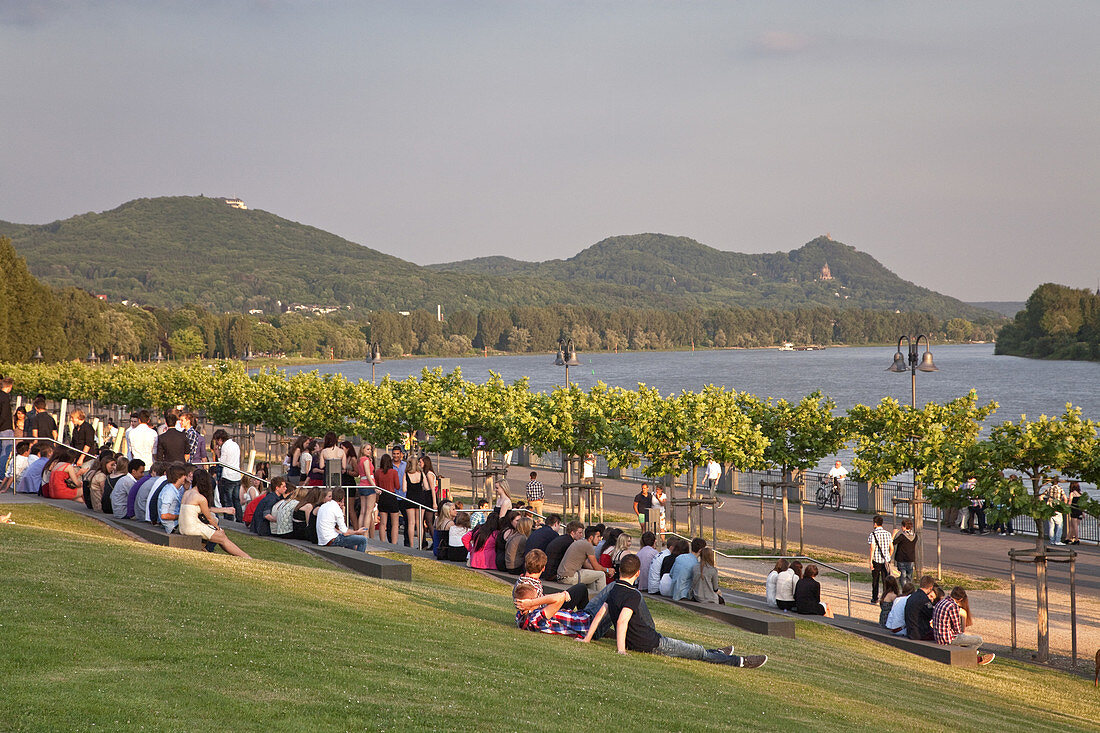 Evening at the right bank of the Rhine in Oberkassel, Bonn, Middle Rhine Valley, North Rhine-Westphalia, Germany