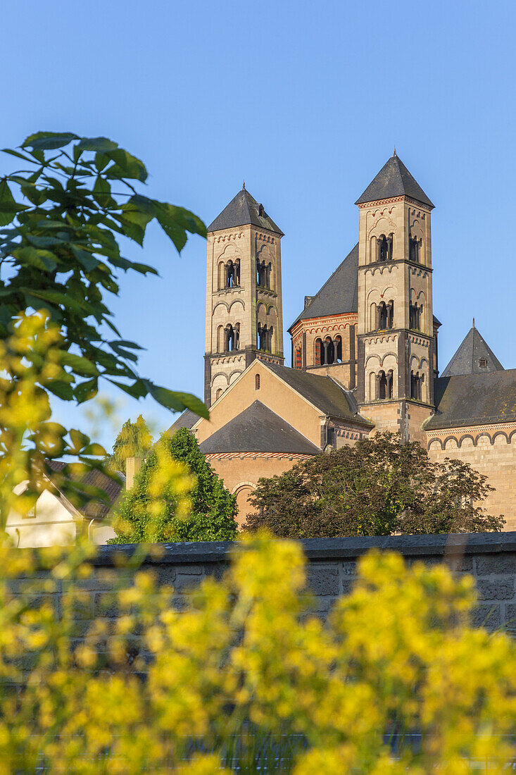 Abteikirche Laacher Münster vom Kloster Maria Laach, Vulkaneifel, Eifel, Rheinland-Pfalz, Deutschland, Europa