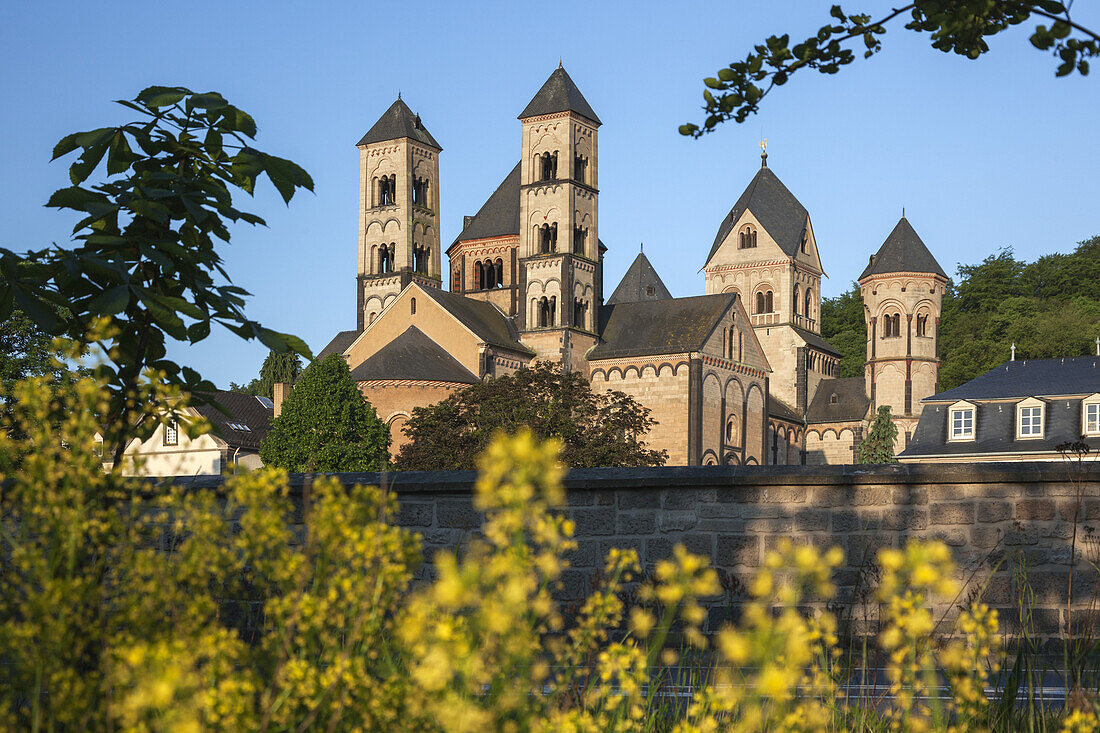 Abbey church Laacher Münster of the convent Maria Laach, near Glees, Vulkan Eifel, Eifel, Rheinland-Palatinate, Germany, Europe