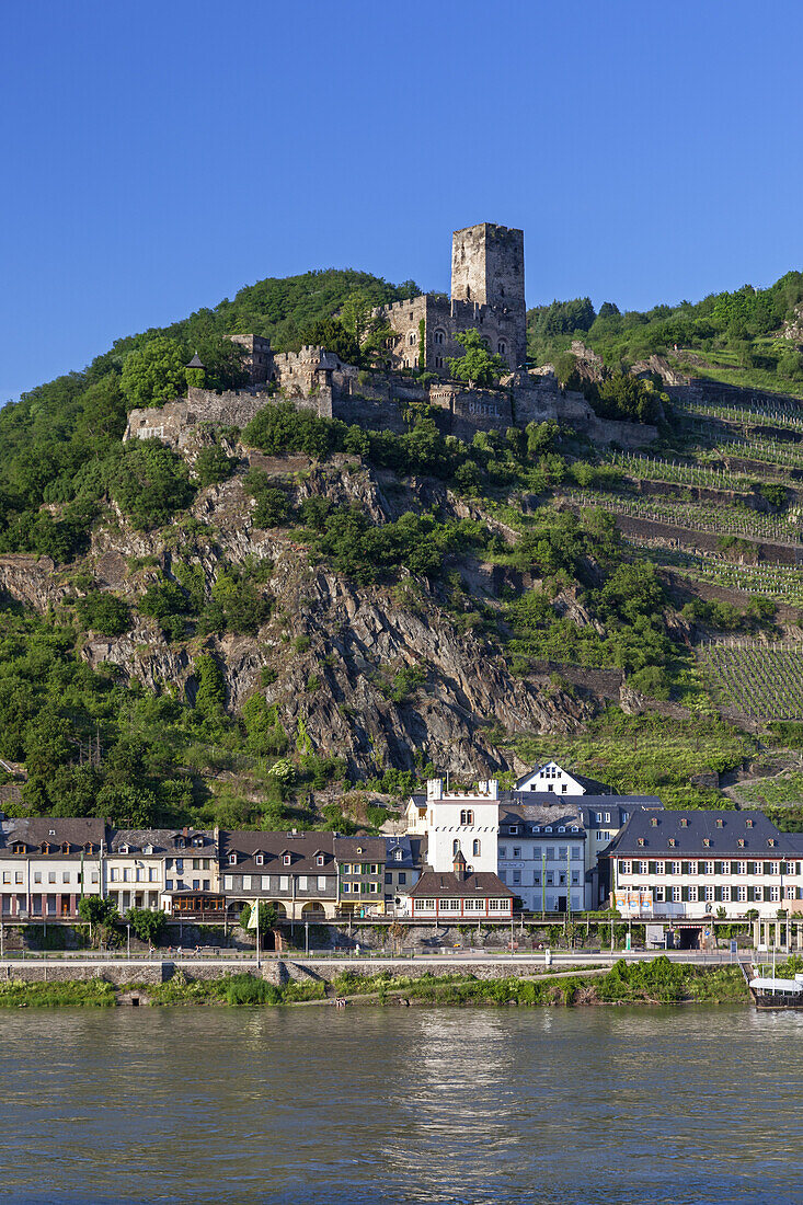 Burg Gutenfels oberhalb von Kaub am Rhein, Burg Kaub, Oberes Mittelrheintal, Rheinland-Pfalz, Deutschland, Europa