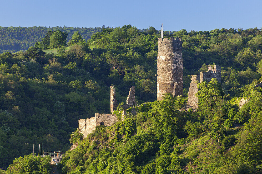 Burg Fürstenberg oberhalb vom Rhein bei Rheindiebach, Oberdiebach, Oberes Mittelrheintal, Rheinland-Pfalz, Deutschland, Europa
