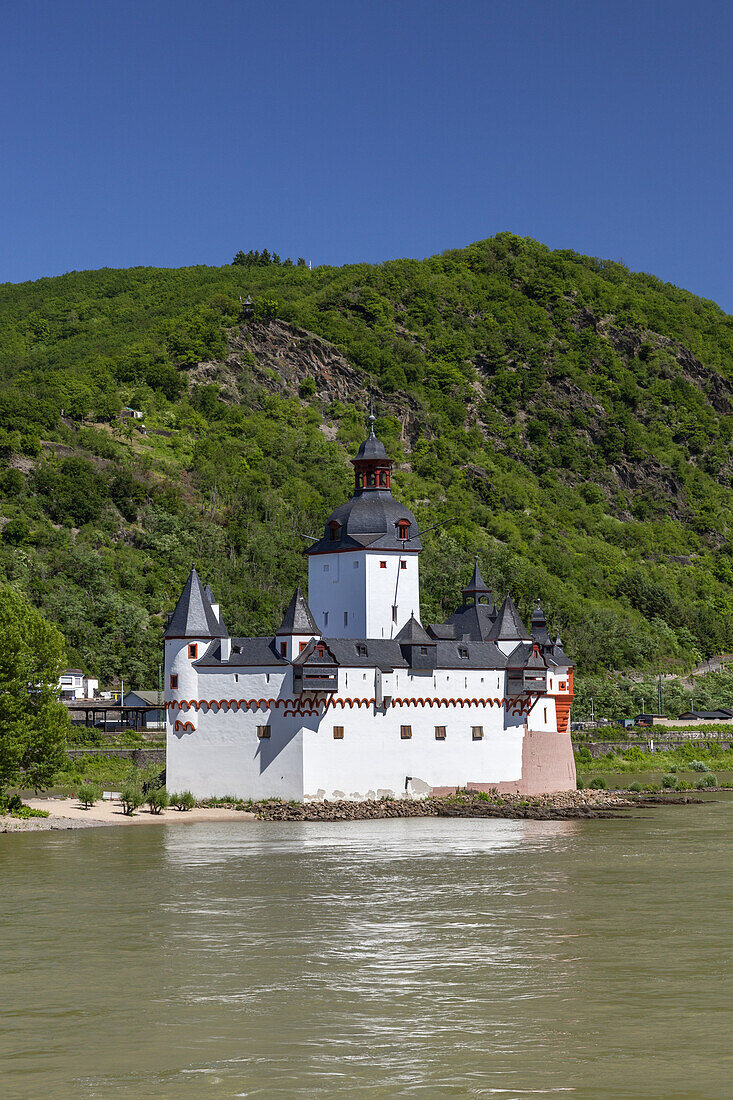 Burg Pfalzgrafenstein im Rhein, Kaub, Oberes Mittelrheintal, Rheinland-Pfalz, Deutschland, Europa