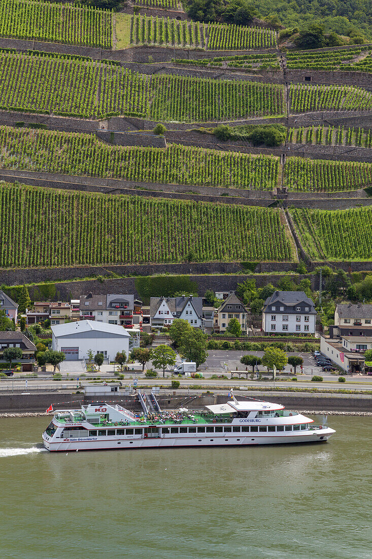Ausflugsschiff auf dem Rhein bei Trechtingshausen, Oberes Mittelrheintal,  Rheinland-Pfalz, Deutschland, Europa