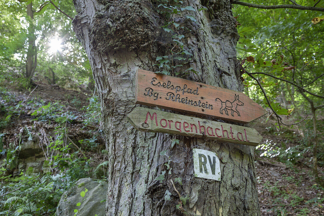 Signs in the Mogenbach Valley near Trechtingshausen, Upper Middle Rhine Valley, Rheinland-Palatinate, Germany, Europe