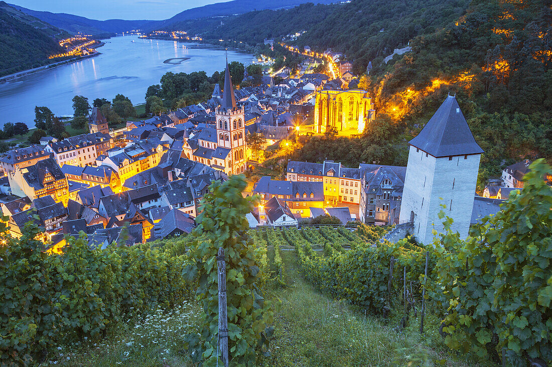 View over the vineyards at the old town of Bacharach by the Rhine, Upper Middle Rhine Valley, Rheinland-Palatinate, Germany, Europe