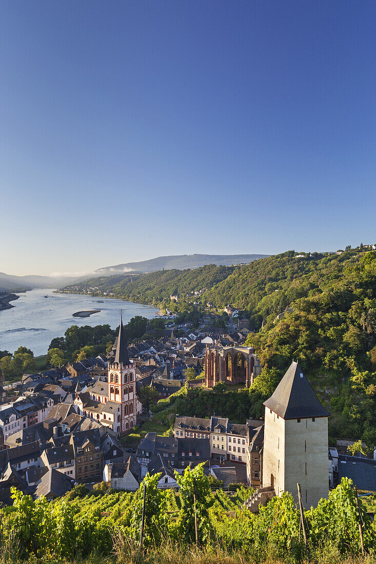 View over the old town of Bacharach by the Rhine, Upper Middle Rhine Valley, Rheinland-Palatinate, Germany, Europe
