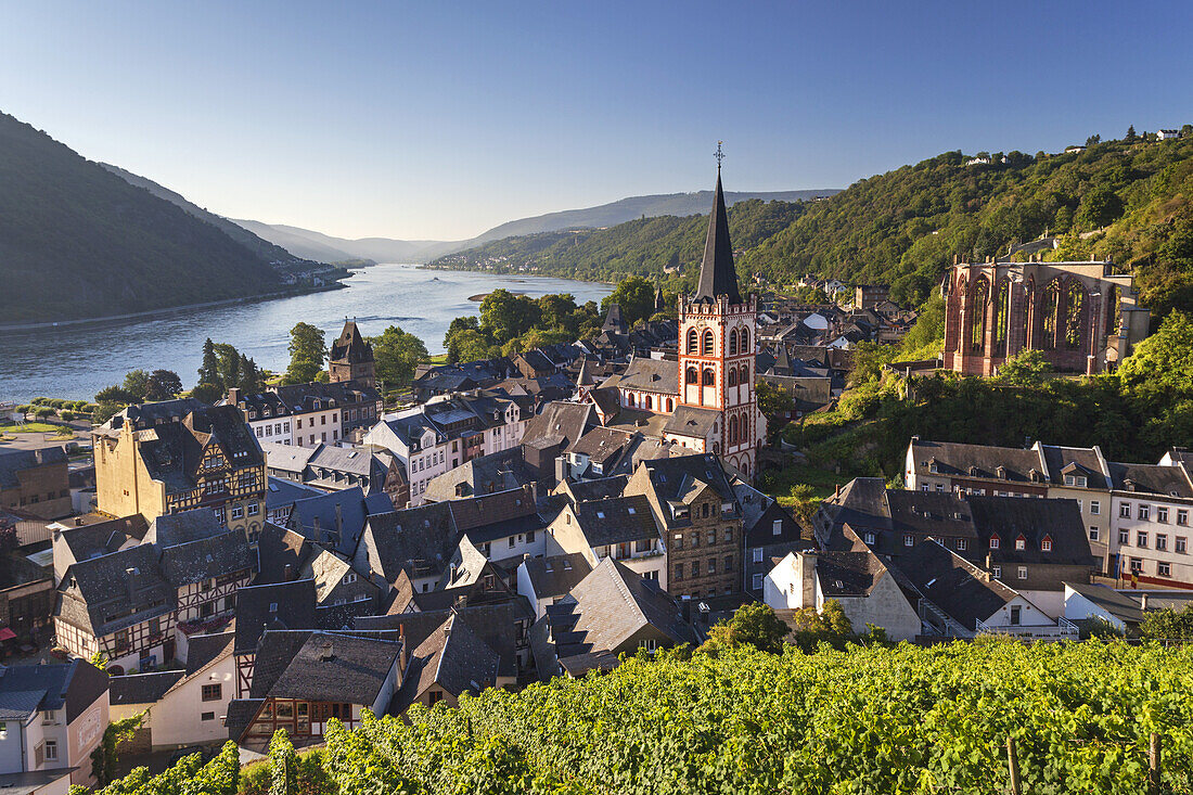 View over the vineyards at the old town of Bacharach by the Rhine, Upper Middle Rhine Valley, Rheinland-Palatinate, Germany, Europe