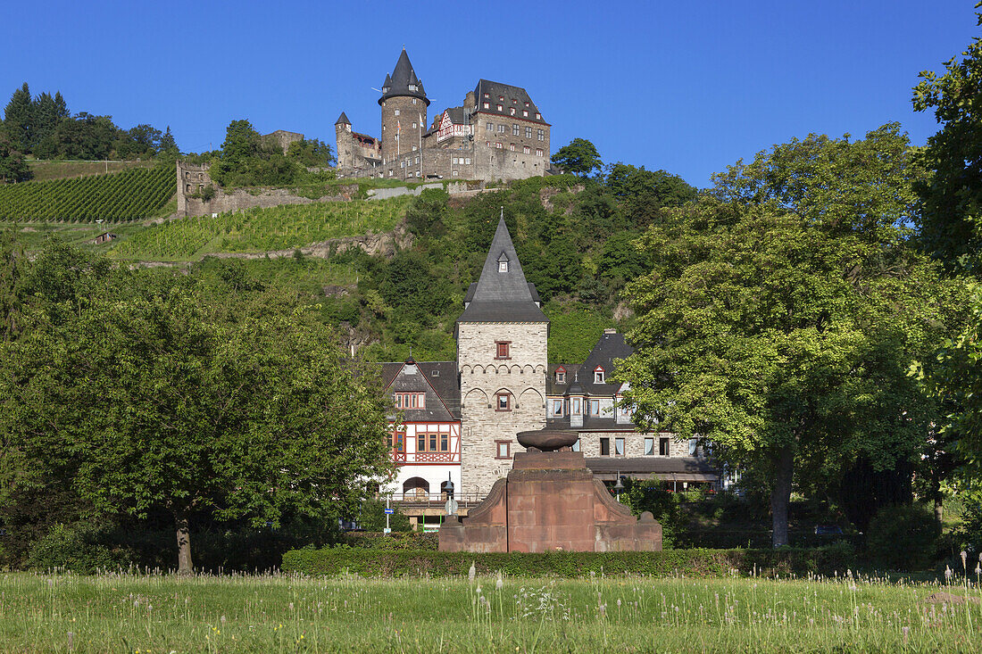 Blick auf Burg Stahleck und die Weinberge oberhalb von Bacharach am Rhein, Oberes Mittelrheintal, Rheinland-Pfalz, Deutschland, Europa