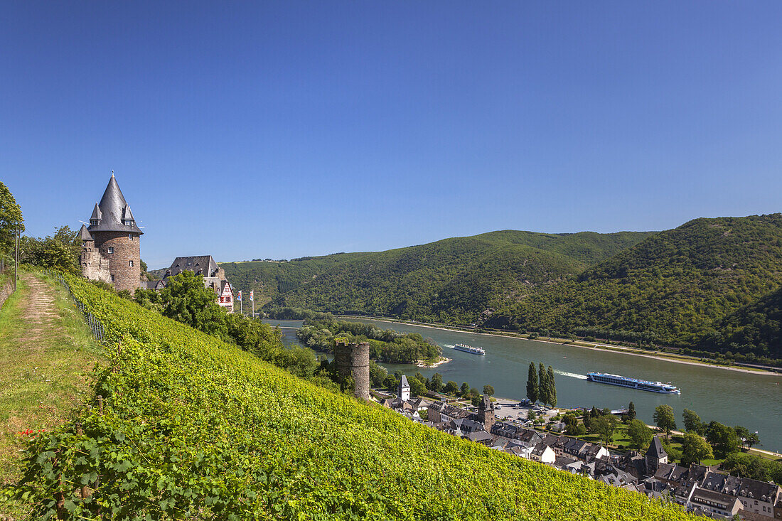 View at Burg Stahleck Castle, the Rhine and the vineyards above Bacharach, Upper Middle Rhine Valley, Rheinland-Palatinate, Germany, Europe