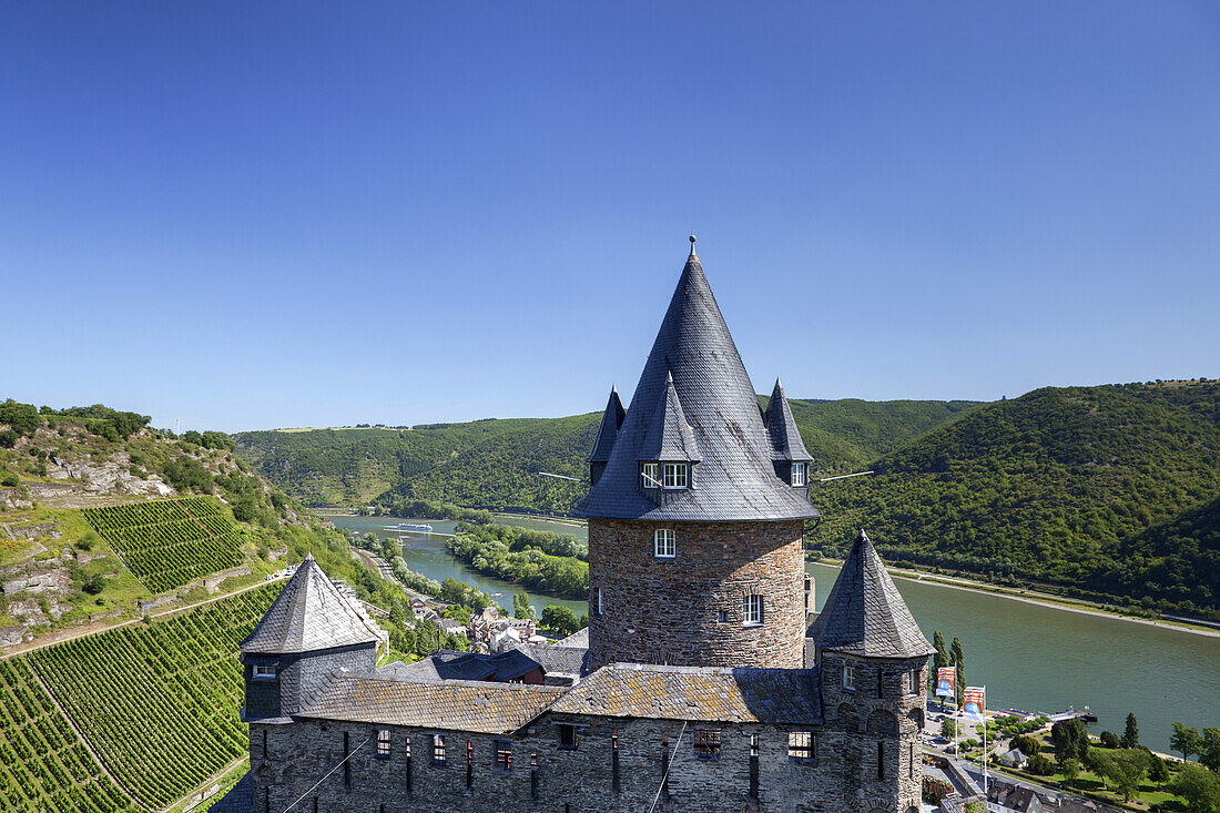 Blick auf Burg Stahleck, den Rhein und die Weinberge oberhalb von Bacharach, Oberes Mittelrheintal, Rheinland-Pfalz, Deutschland, Europa