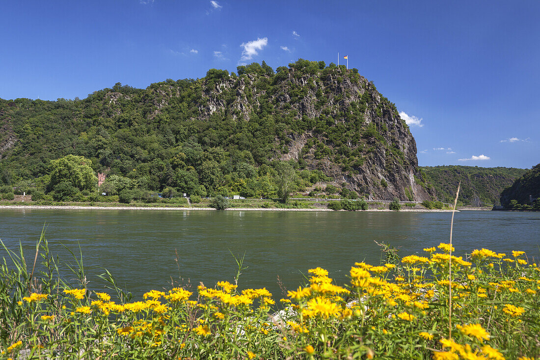 Blick auf den Felsen der Loreley am Rhein bei St. Goar, Oberes Mittelrheintal, Rheinland-Pfalz, Deutschland, Europa