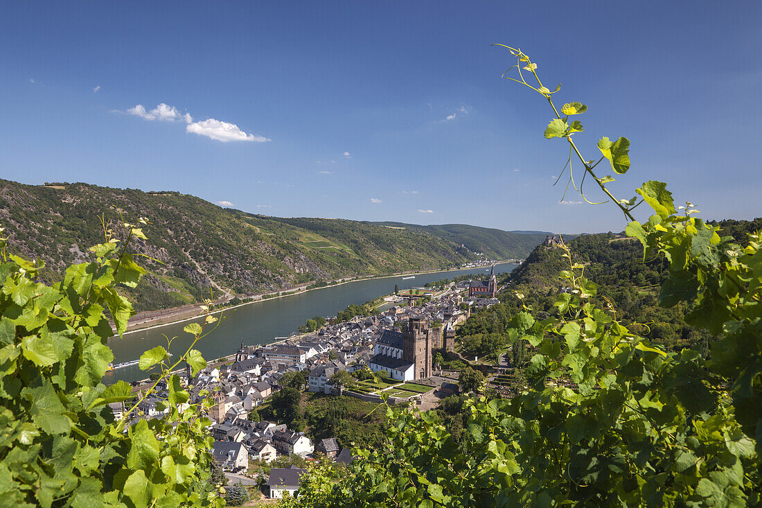Blick auf Oberwesel und dem Rhein, Oberes Mittelrheintal, Rheinland-Pfalz, Deutschland, Europa