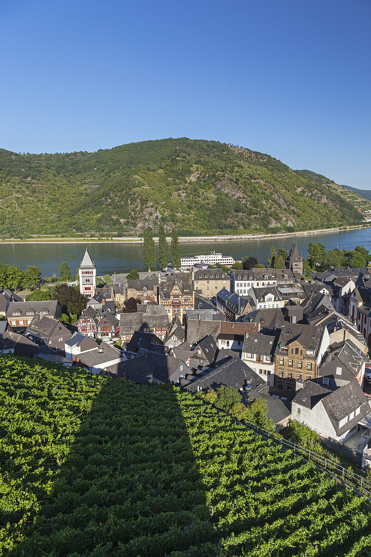 Blick über die Weinberge auf die Altstadt von Bacharach am Rhein, Oberes Mittelrheintal, Rheinland-Pfalz, Deutschland, Europa