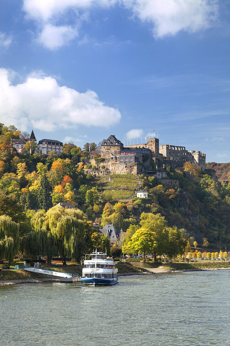 Rheinfels castle above St. Goar by the Rhine, Upper Middle Rhine Valley, Rheinland-Palatinate, Germany, Europe