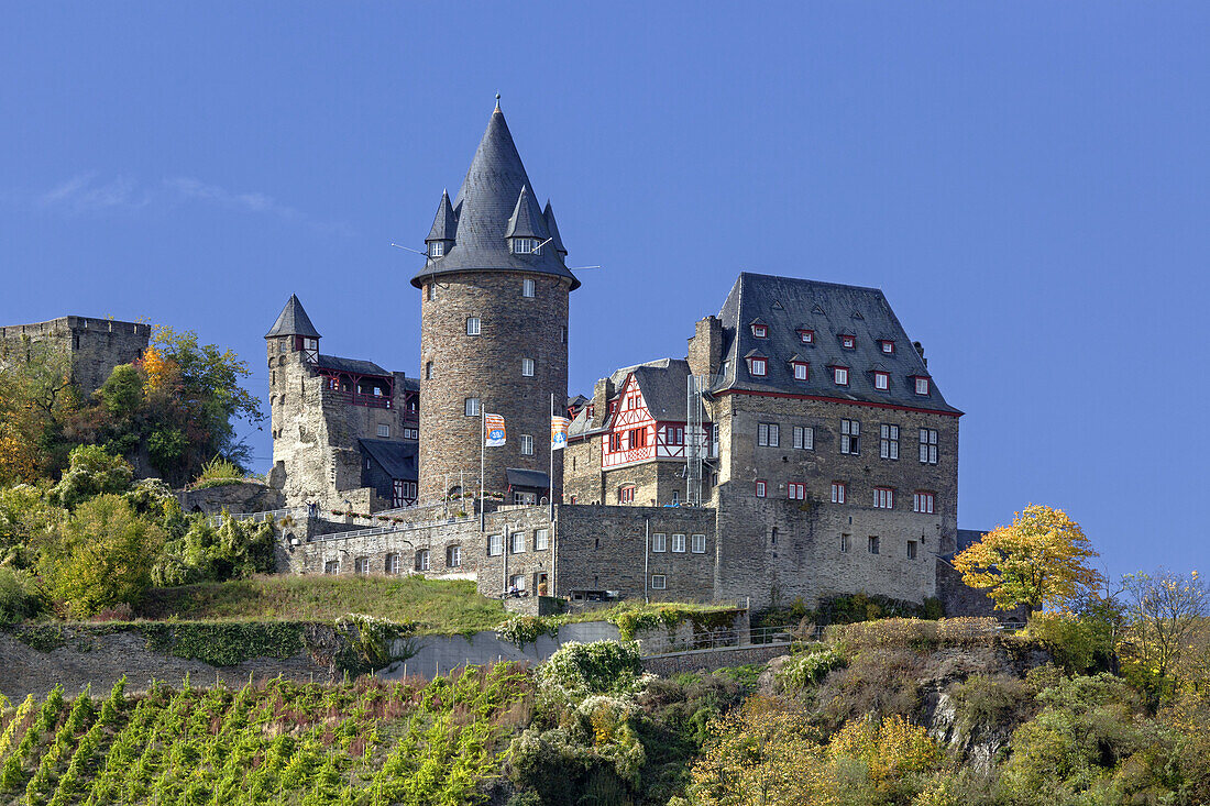 Blick über den Rhein auf Burg Stahleck bei Bacharach, Oberes Mittelrheintal, Rheinland-Pfalz, Deutschland, Europa