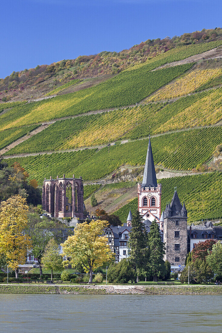 View over the Rhine at Bacharach and the church Saint Peter, Upper Middle Rhine Valley, Rheinland-Palatinate, Germany, Europe