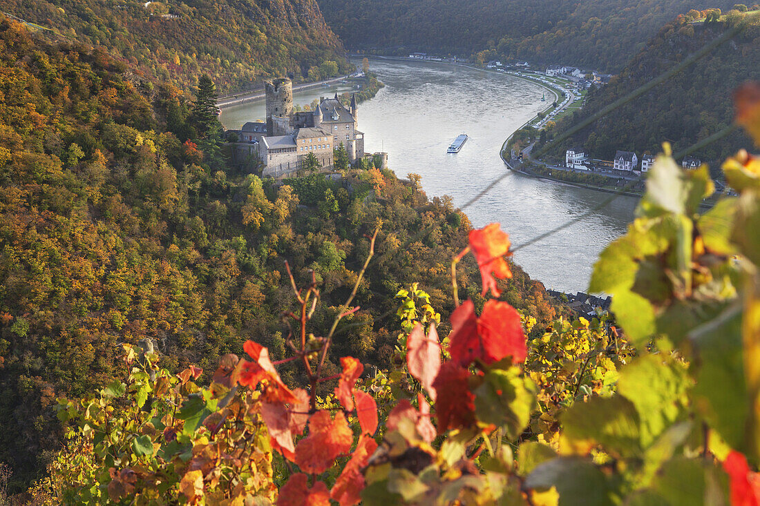 Blick auf die Burg Katz am Rhein im Herbst, St. Goarshausen, Oberes Mittelrheintal,  Rheinland-Pfalz, Deutschland, Europa