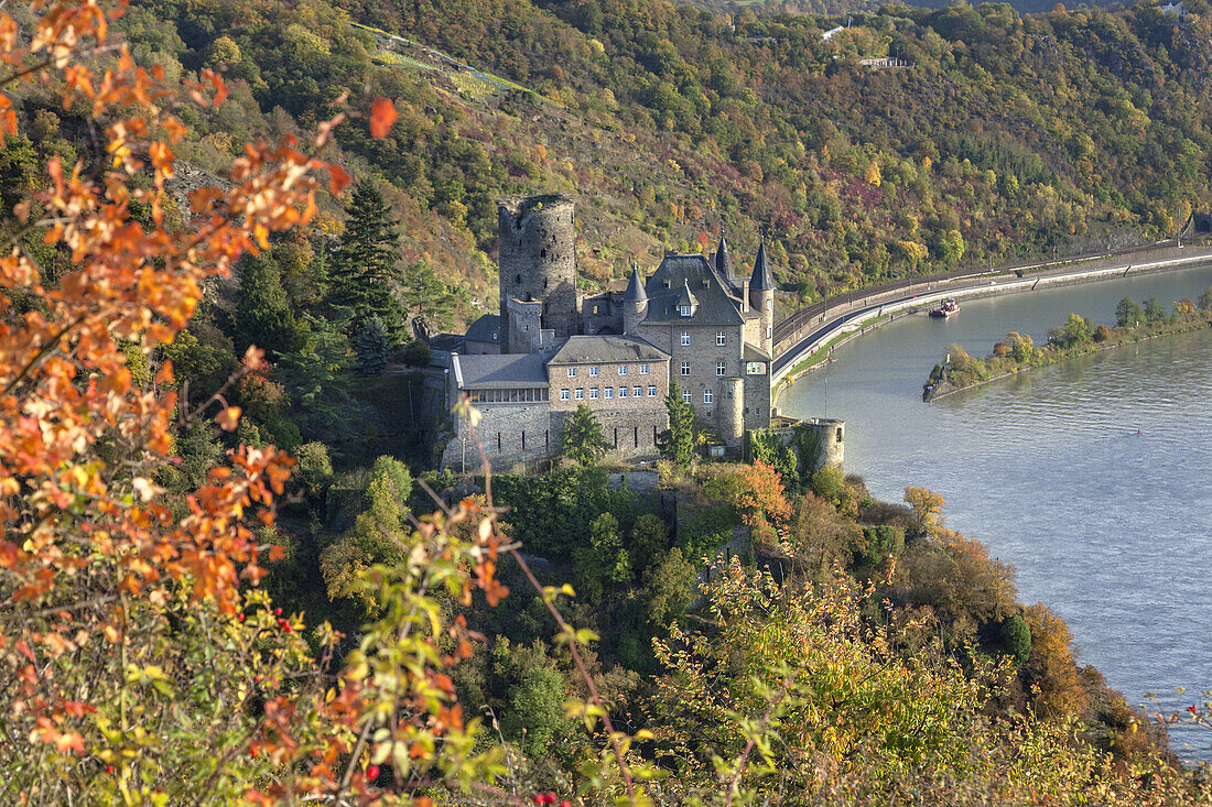 Blick auf Burg Katz am Rhein  oberhalb von St. Goarshausen, Oberes Mittelrheintal,  Rheinland-Pfalz, Deutschland, Europa