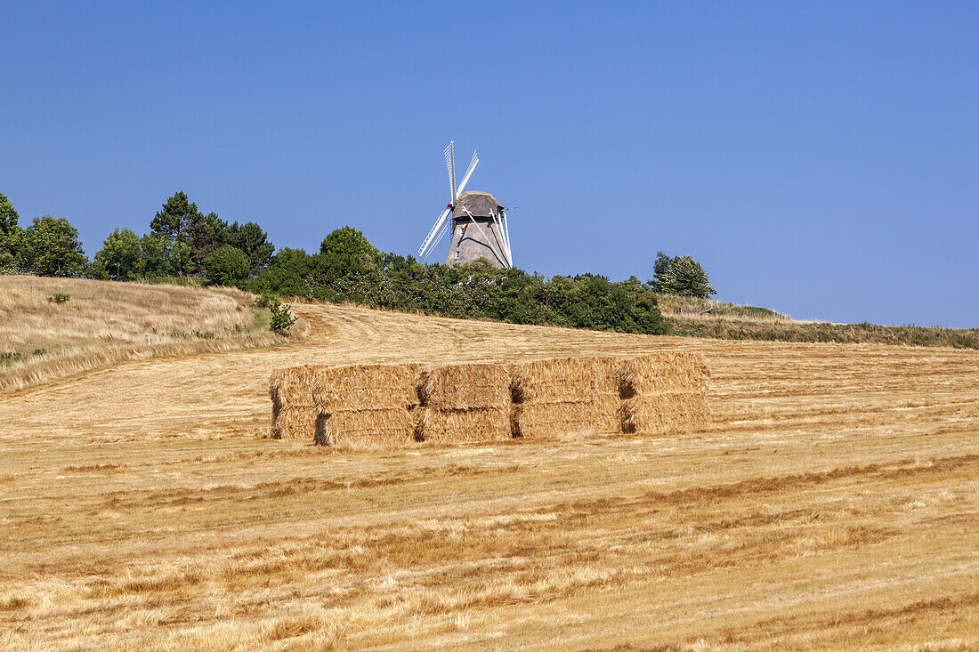 Windmühle bei Sobygaard, Insel Ærø, Schärengarten von Fünen, Dänische Südsee, Süddänemark, Dänemark, Nordeuropa, Europa