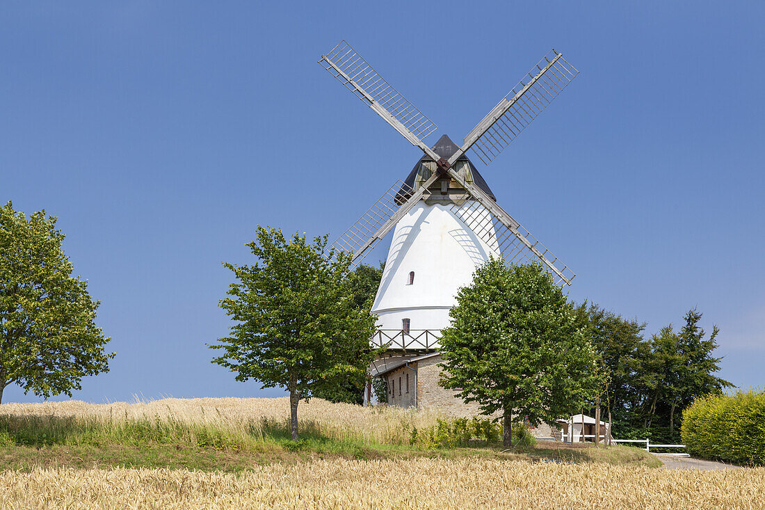 Windmill Lundsgardsmark near Sønderborg, Southern Denmark, Denmark, Scandinavia, Northern Europe