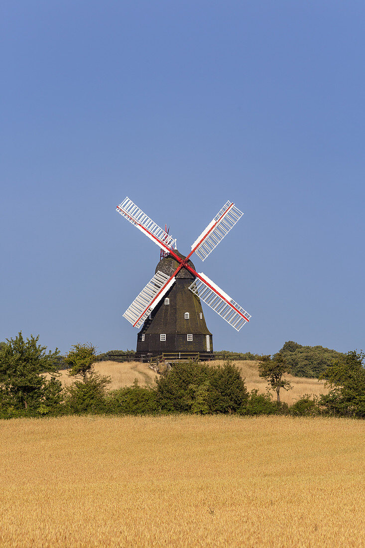 Windmühle Skovsgaard auf der Insel Langeland, Dänische Südsee, Süddänemark, Dänemark, Nordeuropa, Europa