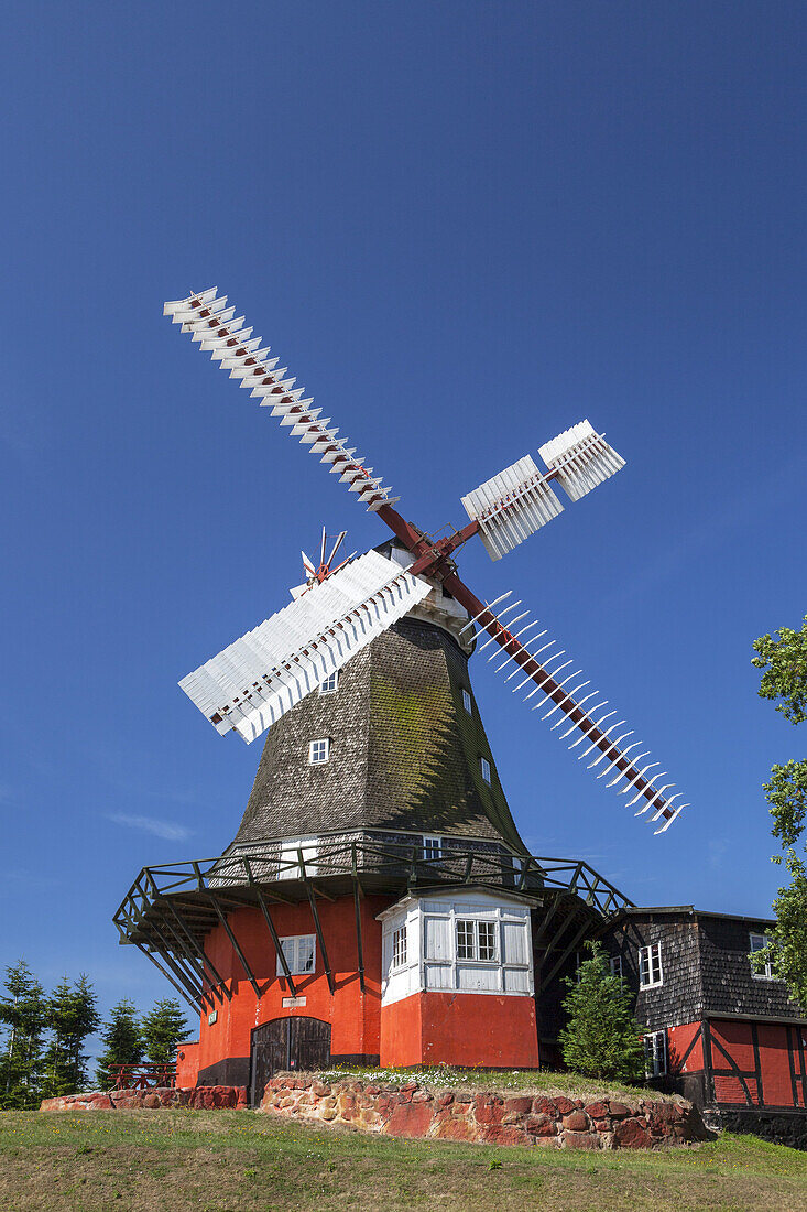 Windmill of the Castle Tranekær, Island Langeland, Danish South Sea Islands, Southern Denmark, Denmark, Scandinavia, Northern Europe