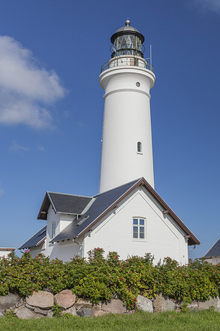 Leuchtturm und Leuchtturmwärterhaus von Hirtshals, Nordjylland, Jylland, Dänemark, Nordeuropa, Europa