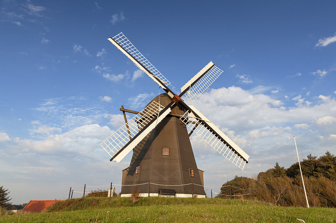 Windmühle Vennebjerg Mølle, Lønstrup, Nordjylland, Jylland, Dänemark, Nordeuropa, Europa