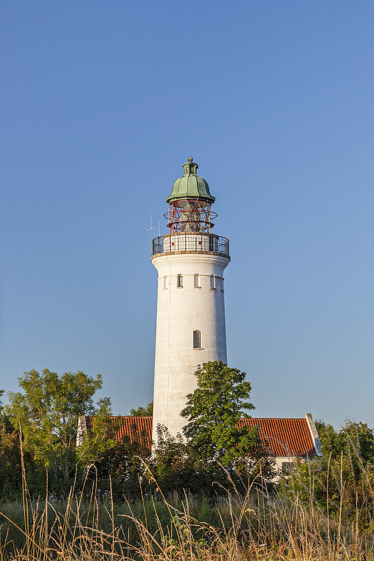 Leuchtturm Stevns Fyr am Stevns Klint, Højerup, Store Heddinge, Halbinsel Stevns, Insel Seeland, Dänemark, Nordeuropa, Europa