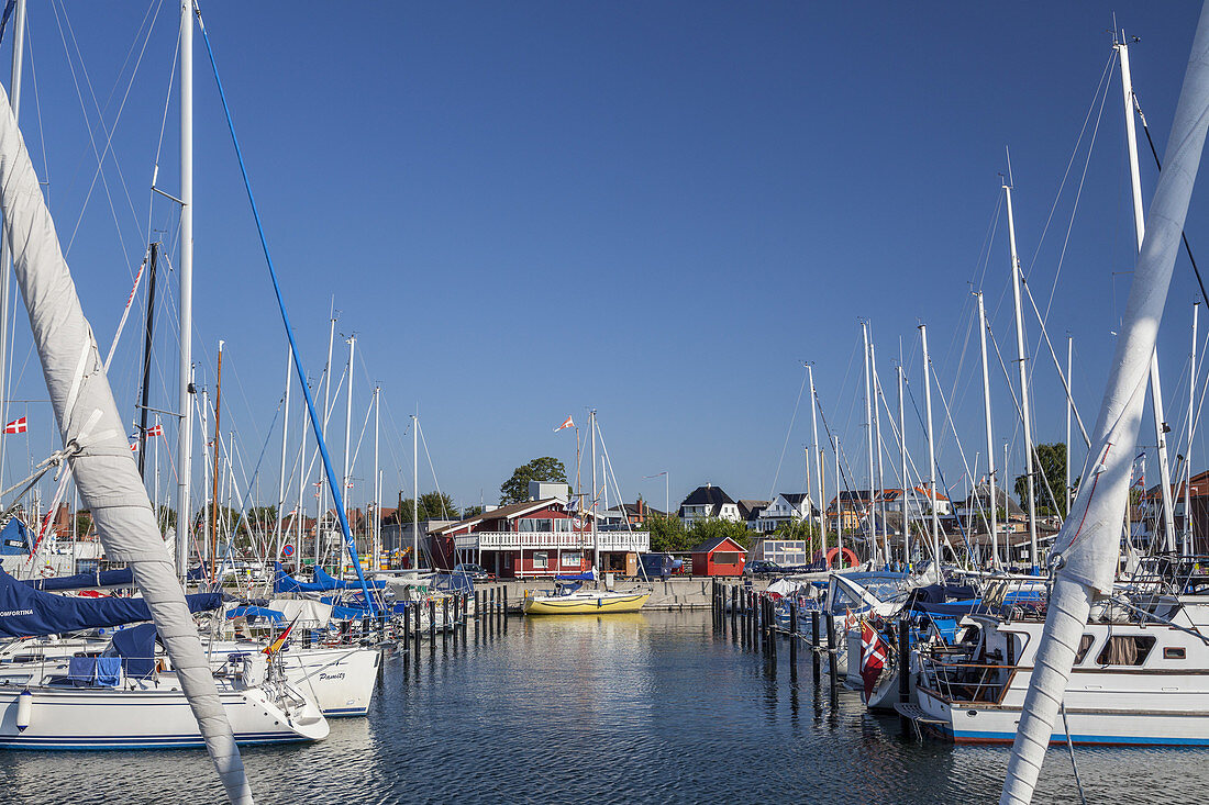 Segelboote im Hafen von Rødvig, Halbinsel Stevns, Insel Seeland, Dänemark, Nordeuropa, Europa