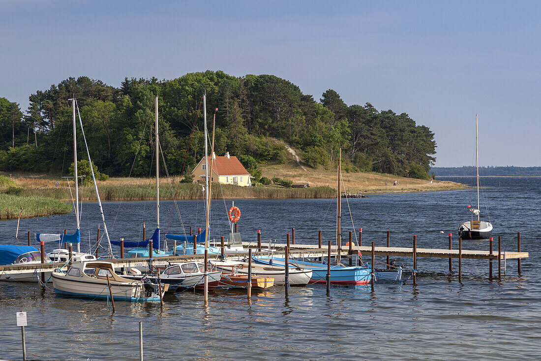 Harbour Selsø on the Bay Roskilde Fjord, Island of Zealand, Scandinavia, Denmark, Northern Europe