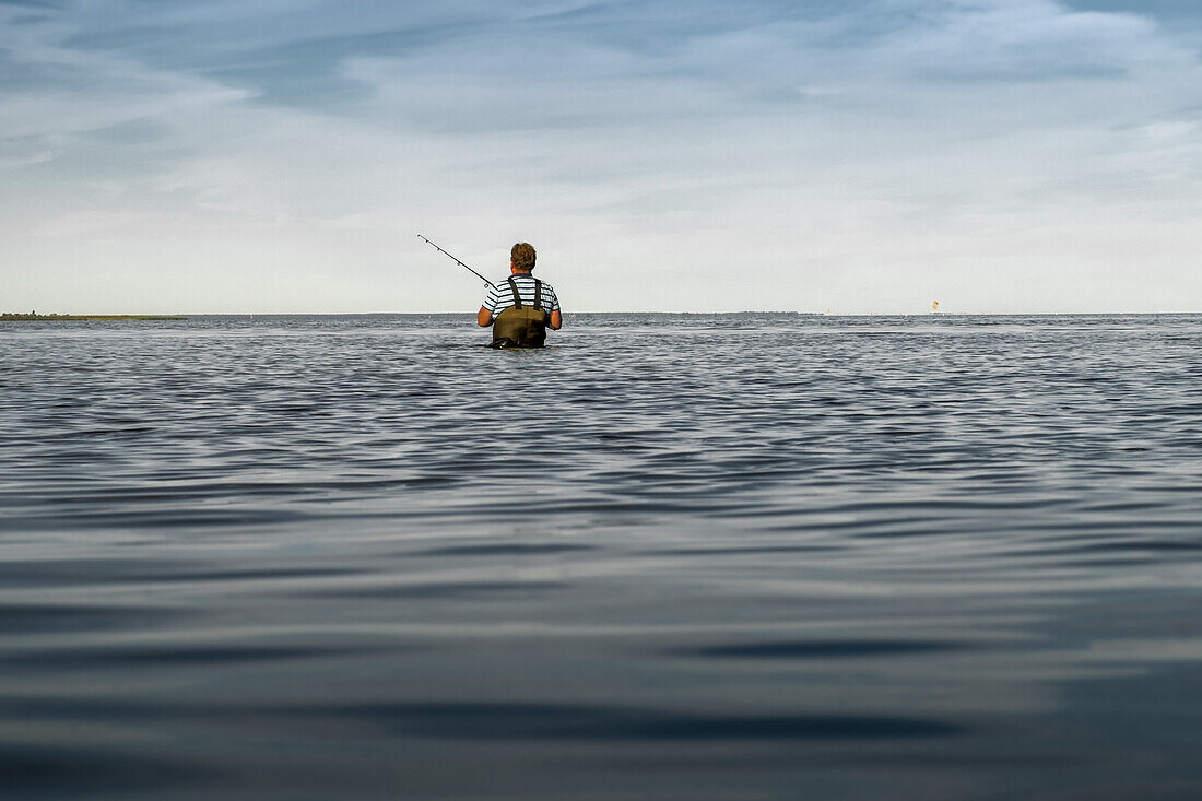 An angler standing in the water of the Bodden in Dierhagen. Dierhagen, Darß, Mecklenburg-Vorpommern, Germany