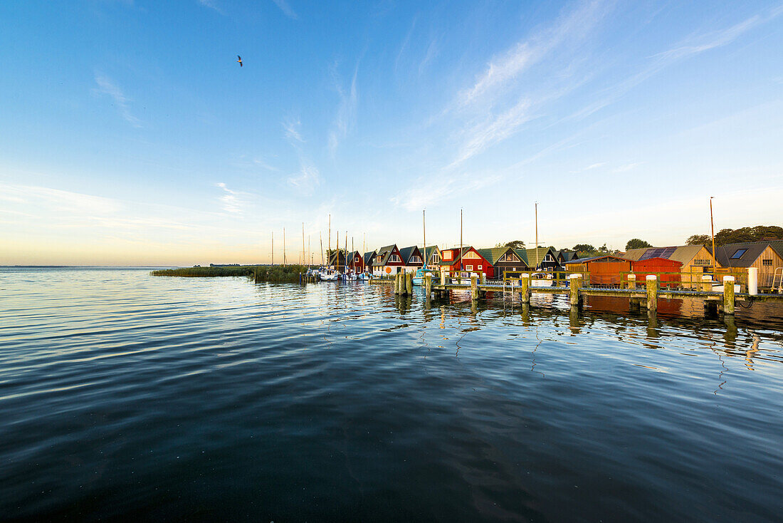Bootshäuser in der Morgenstimmung im Hafen Althagen in Ahrenshoop am Bodden auf dem Darß. Althagen, Ahrenshoop, Darß, Mecklenburg-Vorpommern, Deutschland