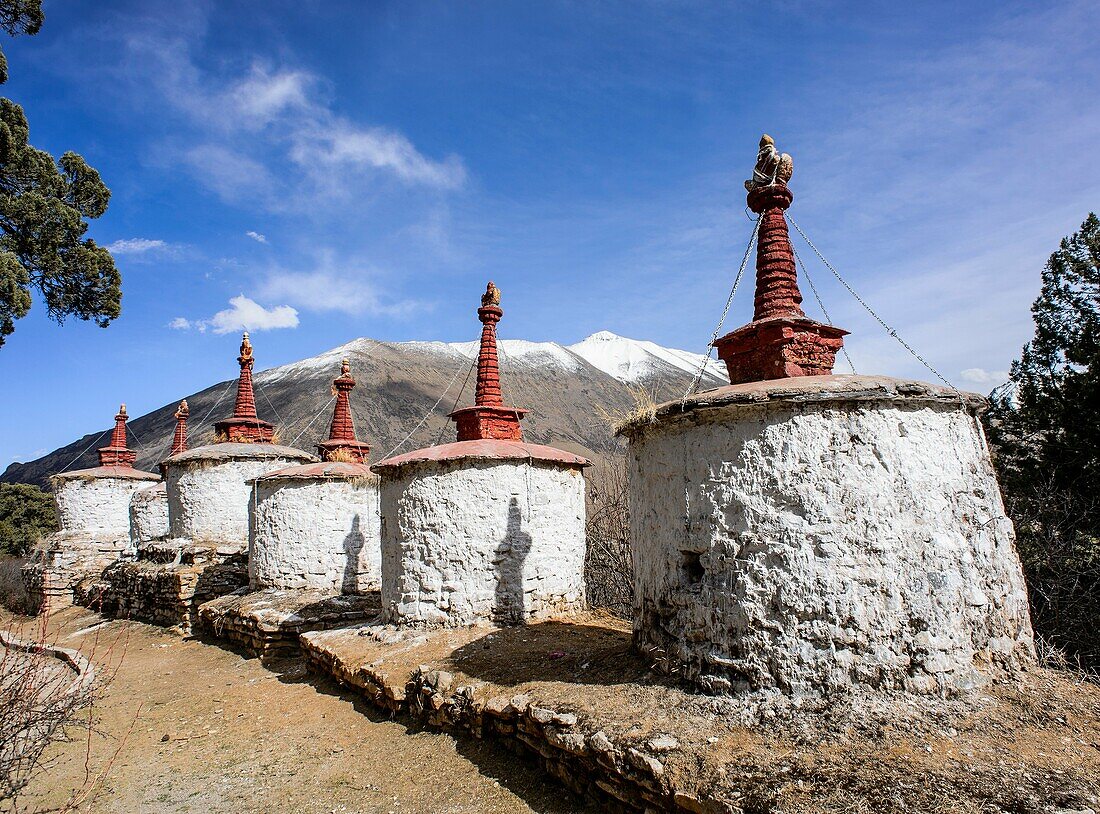 Tibet.