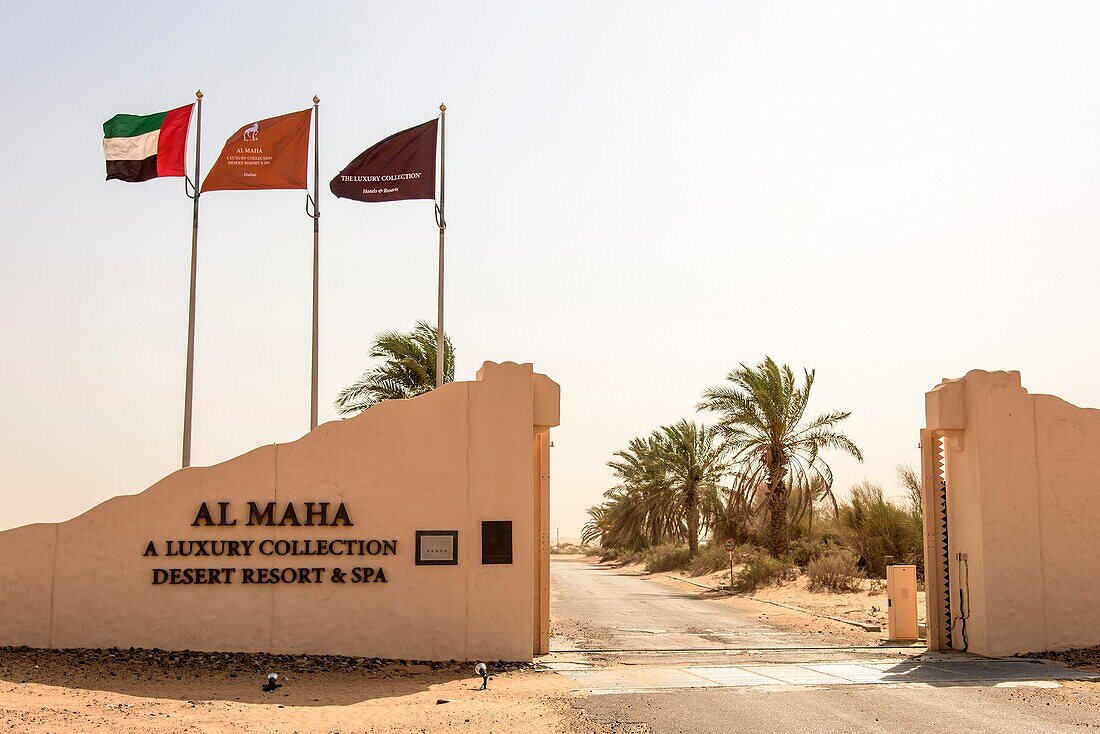 Al Maha Conservation Reserve. Arabian Desert. Dubai. United Arab Emirates