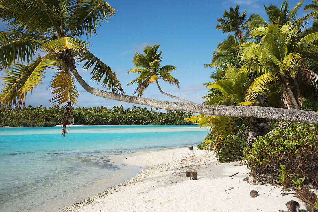 Aitutaki. Cook Island. Polynesia. South Pacific Ocean. Beach in One Foot Island. One Foot Island is asmall island in the district of Aitutaki of the Cook Islands in Australia. It is also known as Tapuaetai and is one of 22 islands of the atoll. You can on