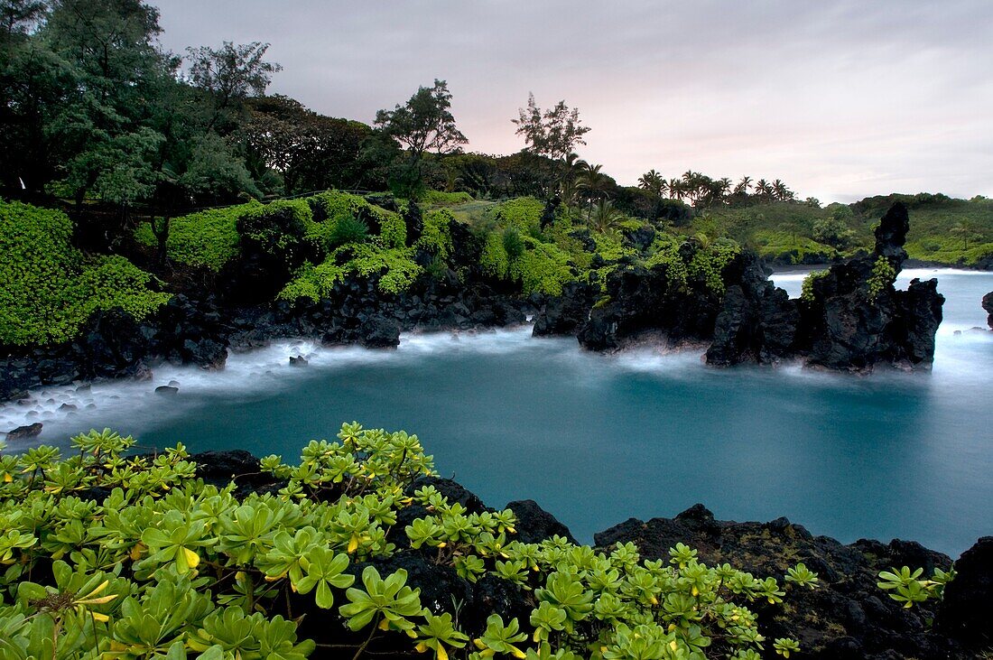 Wai'anapanapa State Park. A leafy location with sea caves and volcanic cliffs. Hana Highway. Maui. Hawaii. This is a great stop in the Road to Hana. Beautiful vistas, black sand beaches, hiking and ample parking. The turn off can be easily missed so make 