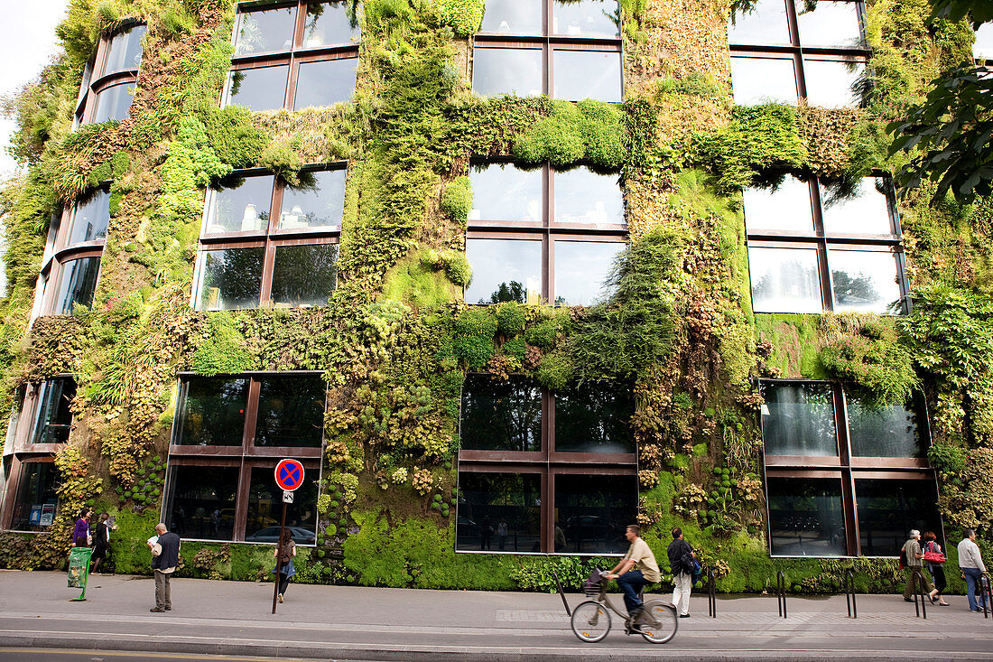 France, Paris, Musee du Quai Branly, plant wall realized by Patrick Blanc